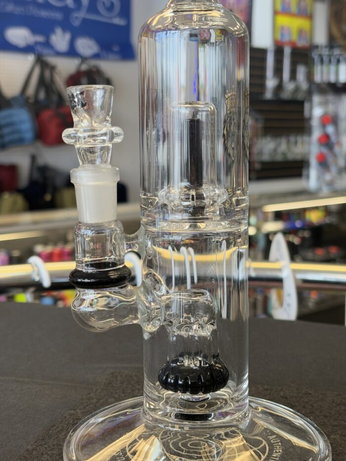 Manifest Glass Works (MGW) Clear 4 Arm Birdcage W/ Showerhead -Portland, ME - Image 2