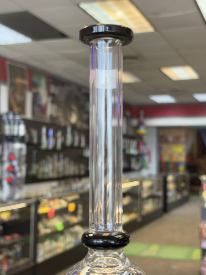 Manifest Glass Works (MGW) Clear 4 Arm Birdcage W/ Showerhead -Portland, ME - Image 4