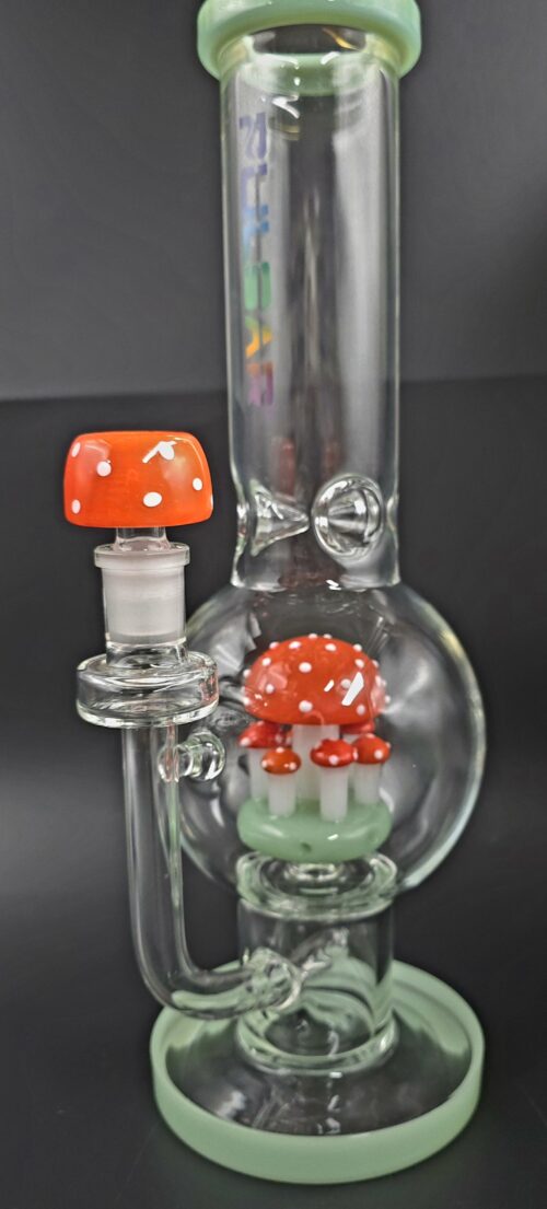 Pulsar Mushroom Garden Bong (Pul-2 Enfield, CT)